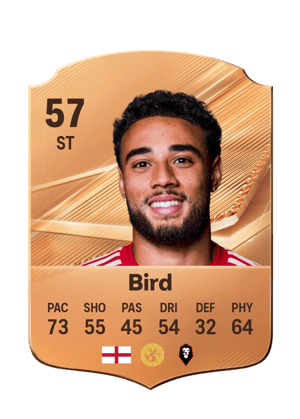 Bird - 57 - Rare