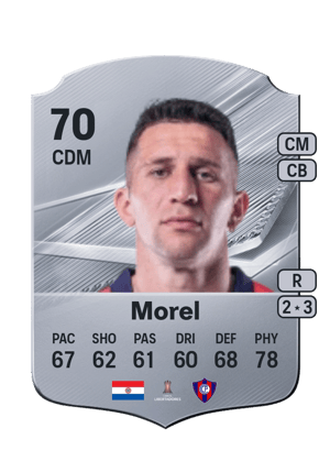 Morel - 70 - Rare