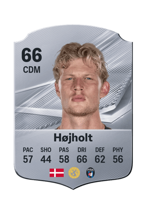 Højholt - 66 - Rare