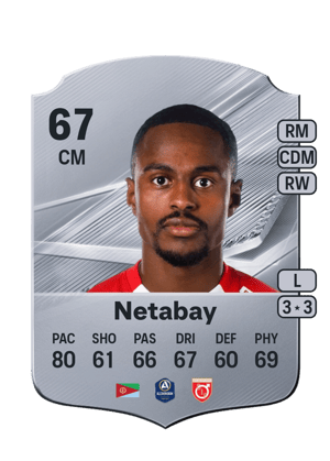 Netabay - 67 - Rare