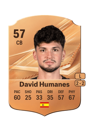David Humanes - 57 - Rare