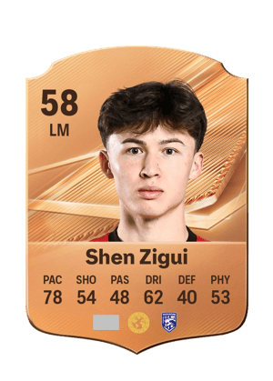 Shen Zigui - 58 - Rare