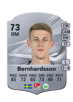 Bernhardsson - 73 - Rare