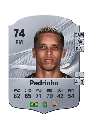 Pedrinho - 74 - Rare