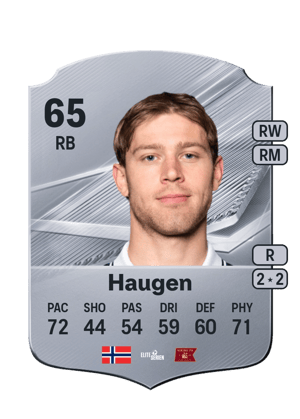 Haugen - 65 - Rare