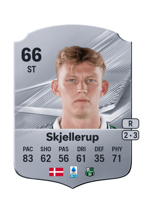 Skjellerup - 66 - Rare
