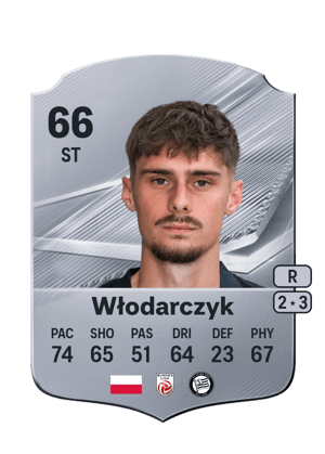 Włodarczyk - 66 - Rare