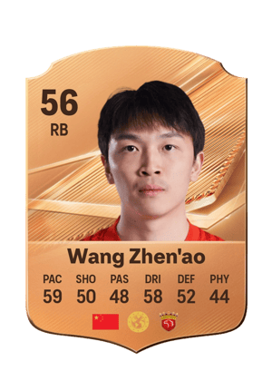 Wang Zhen'ao - 56 - Rare