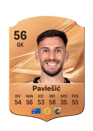 Pavlešić - 56 - Rare