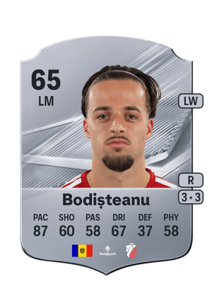 Bodișteanu - 65 - Rare