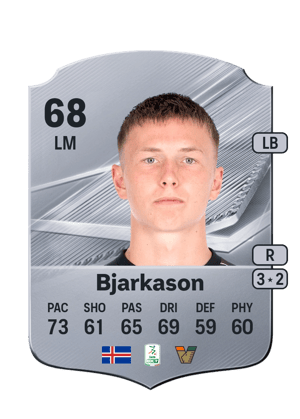 Bjarkason - 68 - Rare