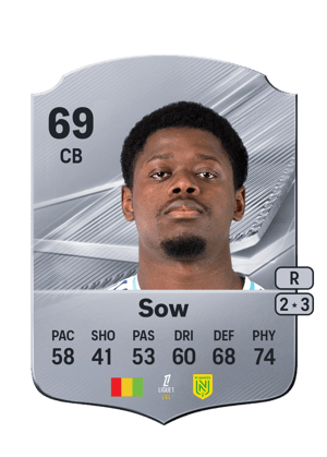 Sow - 69 - Rare