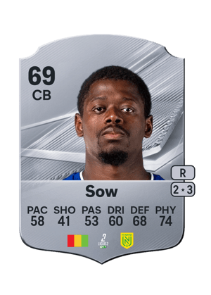 Sow - 69 - Rare