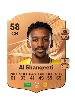 Al Shanqeeti - 58 - Rare