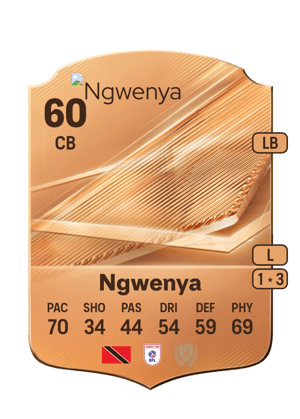 Ngwenya - 60 - Rare