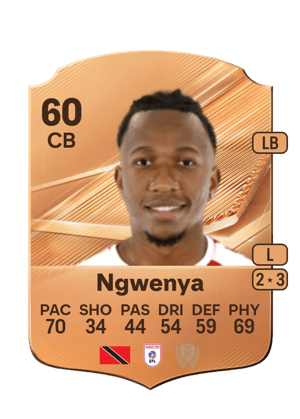 Ngwenya - 60 - Rare