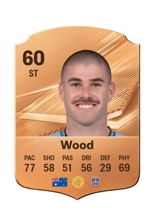 Wood - 60 - Rare