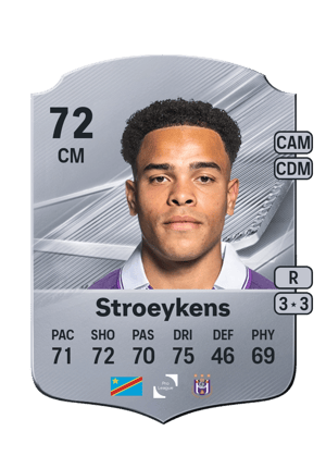 Stroeykens - 72 - Rare