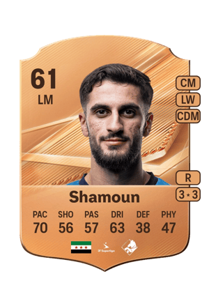 Shamoun - 61 - Rare