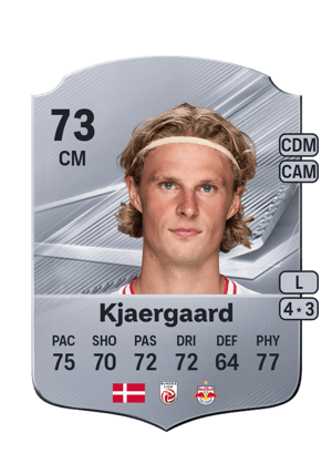 Kjaergaard - 73 - Rare