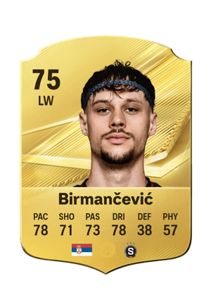 Birmančević - 75 - Rare