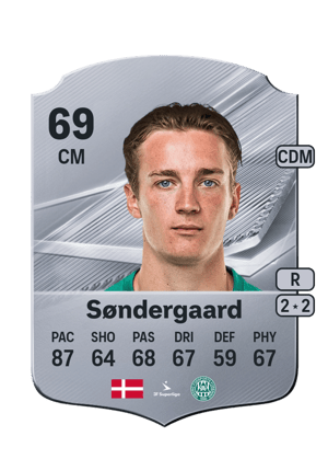 Søndergaard - 69 - Rare