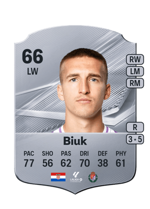Biuk - 66 - Rare