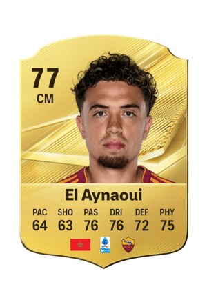 El Aynaoui - 77 - Rare