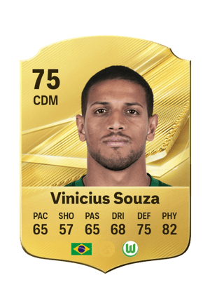 Vinicius Souza - 75 - Rare