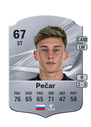 Pečar - 67 - Rare