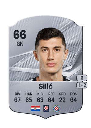 Silić - 66 - Rare