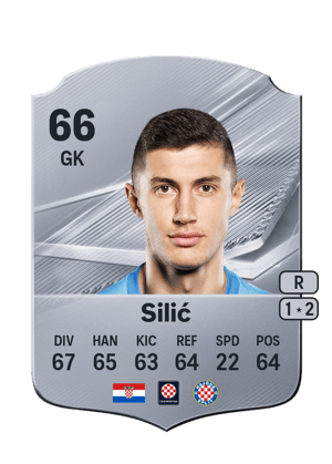 Silić - 66 - Rare