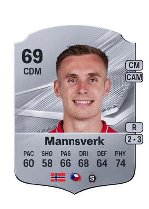Mannsverk - 69 - Rare