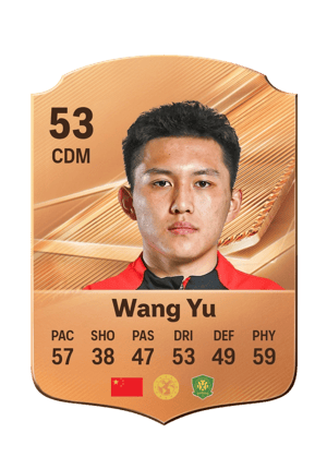 Wang Yu - 53 - Rare