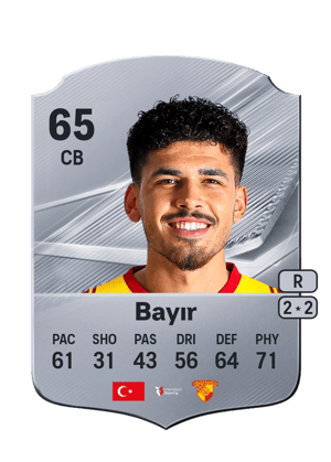 Bayır - 65 - Rare