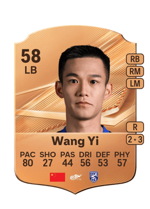 Wang Yi - 58 - Rare