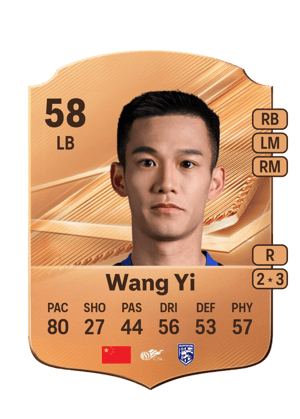 Wang Yi - 58 - Rare