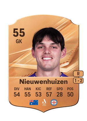 Nieuwenhuizen - 55 - Rare