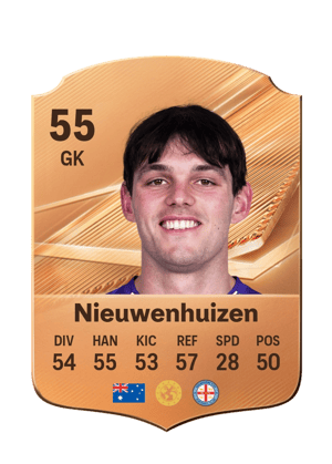 Nieuwenhuizen - 55 - Rare