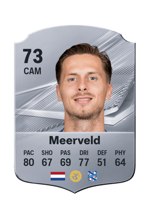 Meerveld - 73 - Rare