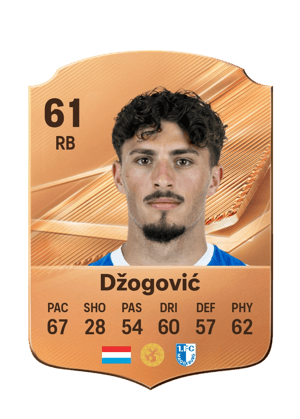 Džogović - 61 - Rare