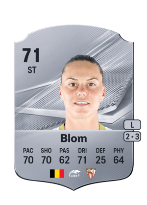 Blom - 71 - Rare