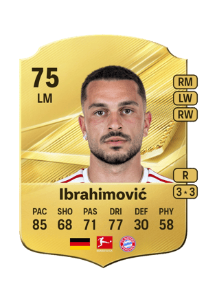 Ibrahimović - 75 - Rare