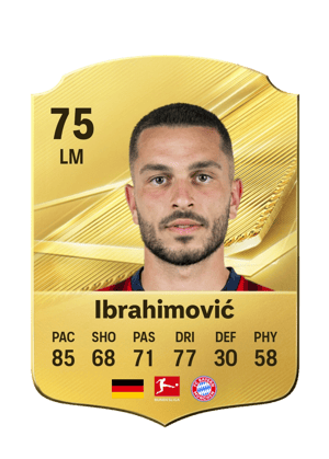 Ibrahimović - 75 - Rare