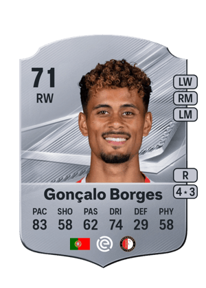 Gonçalo Borges - 71 - Rare