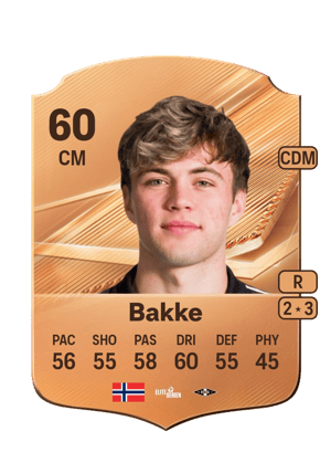 Bakke - 60 - Rare