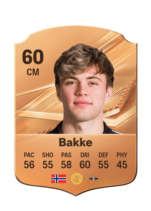 Bakke - 60 - Rare