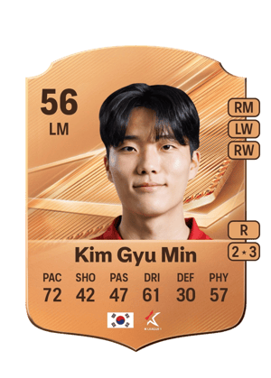Kim Gyu Min - 56 - Rare