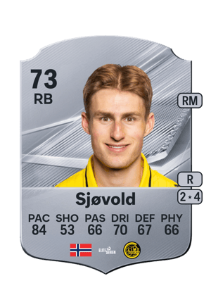 Sjøvold - 73 - Rare
