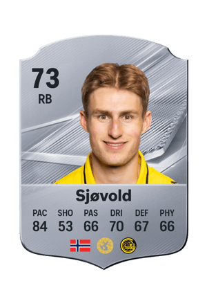 Sjøvold - 73 - Rare